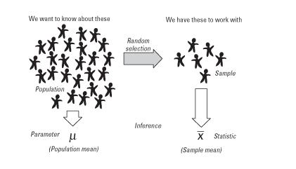 statistics-assignment-01