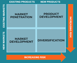 strategic-development-assignment-2