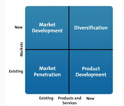 strategic management assignment