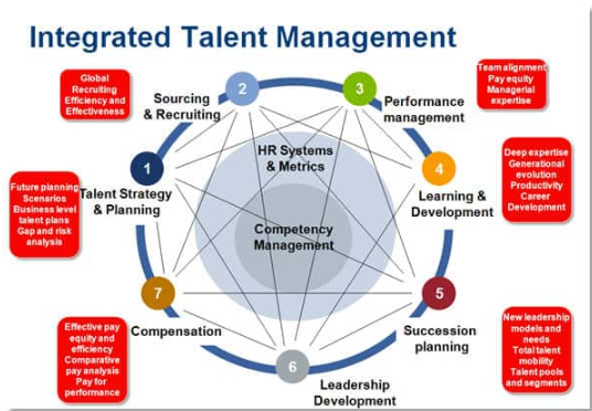 talent management assignment
