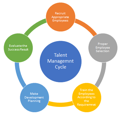 Talent Management Strategies Of Technology Co | Total Assignment Help