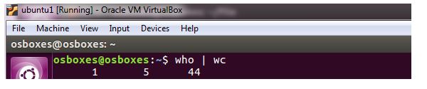 wc command in os assignment