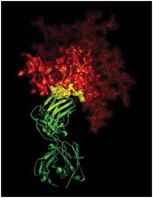 X-ray Crystallography in structural biology assignment